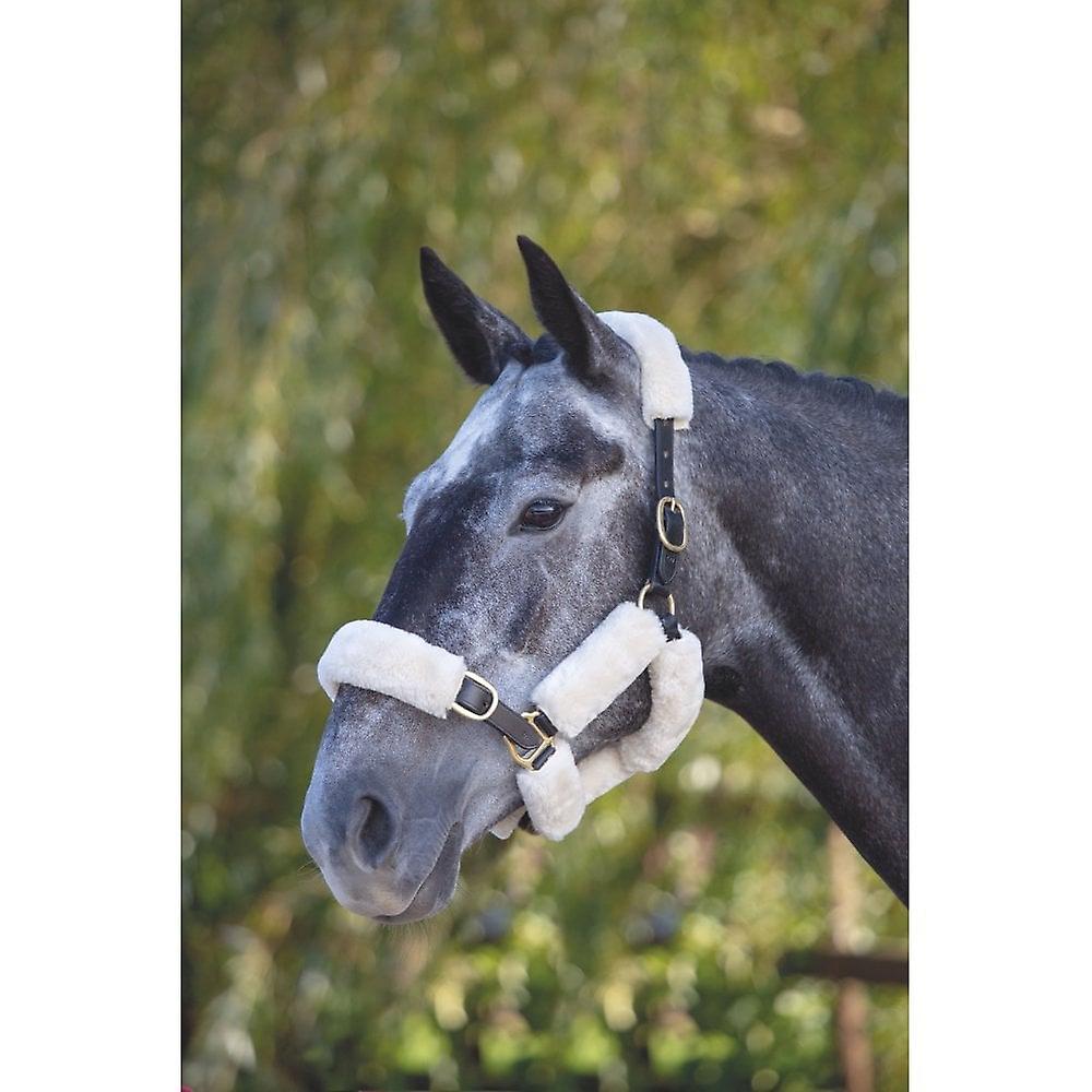 Shires Arma Supafleece Halter Fleeces