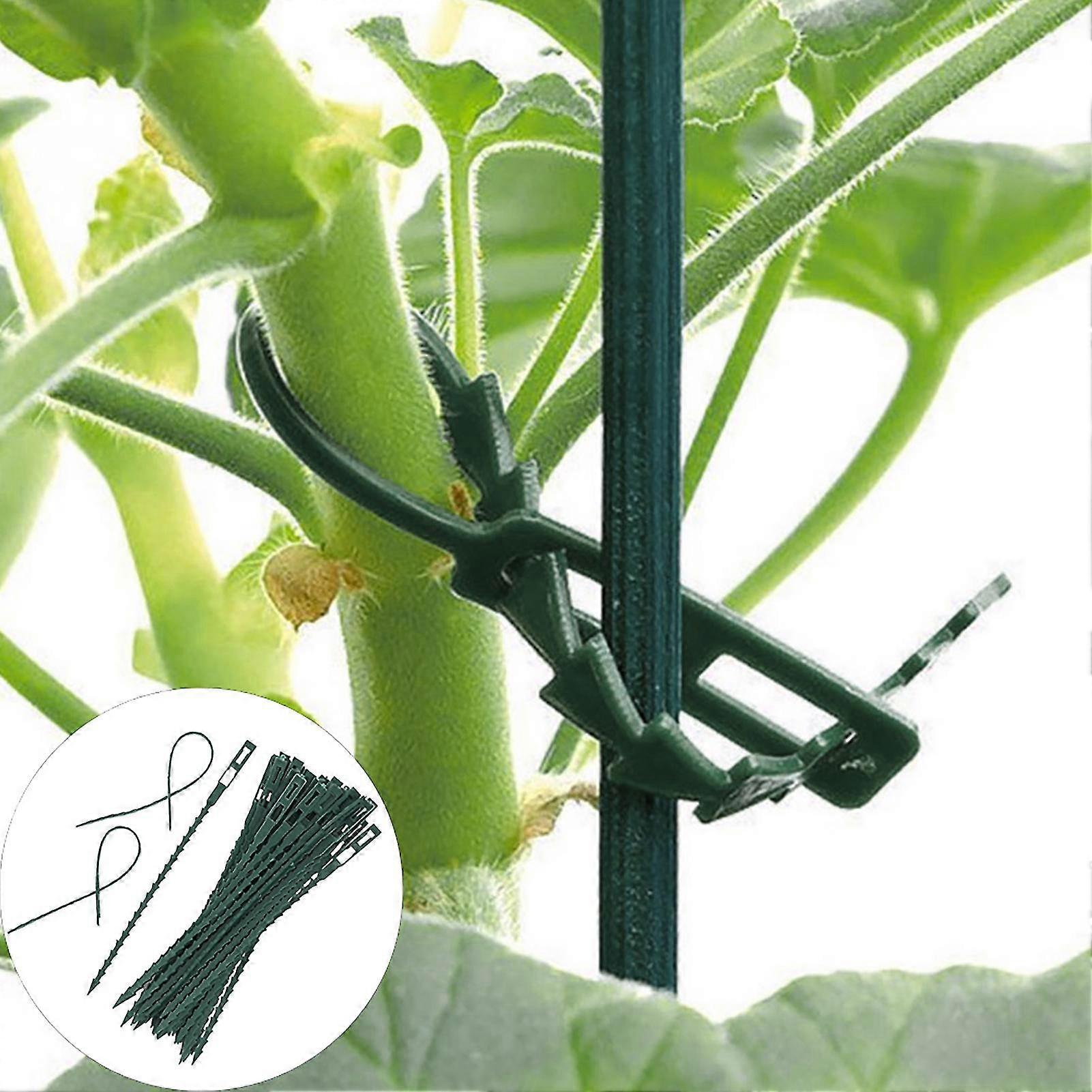 50pcs Reusable Plastic Landscape Fishbone Plant Ties