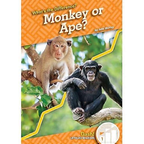 Monkey or Ape?