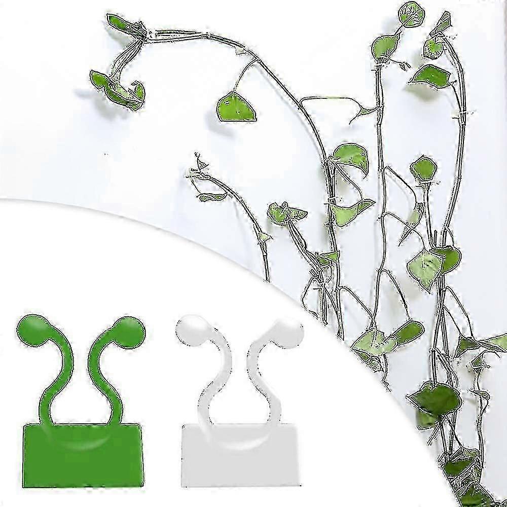 Osynlig växtklättringsfäste för väggmontering i rotting