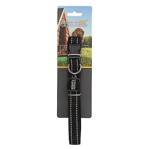 レガッタ プレミアム ドッグ カラー