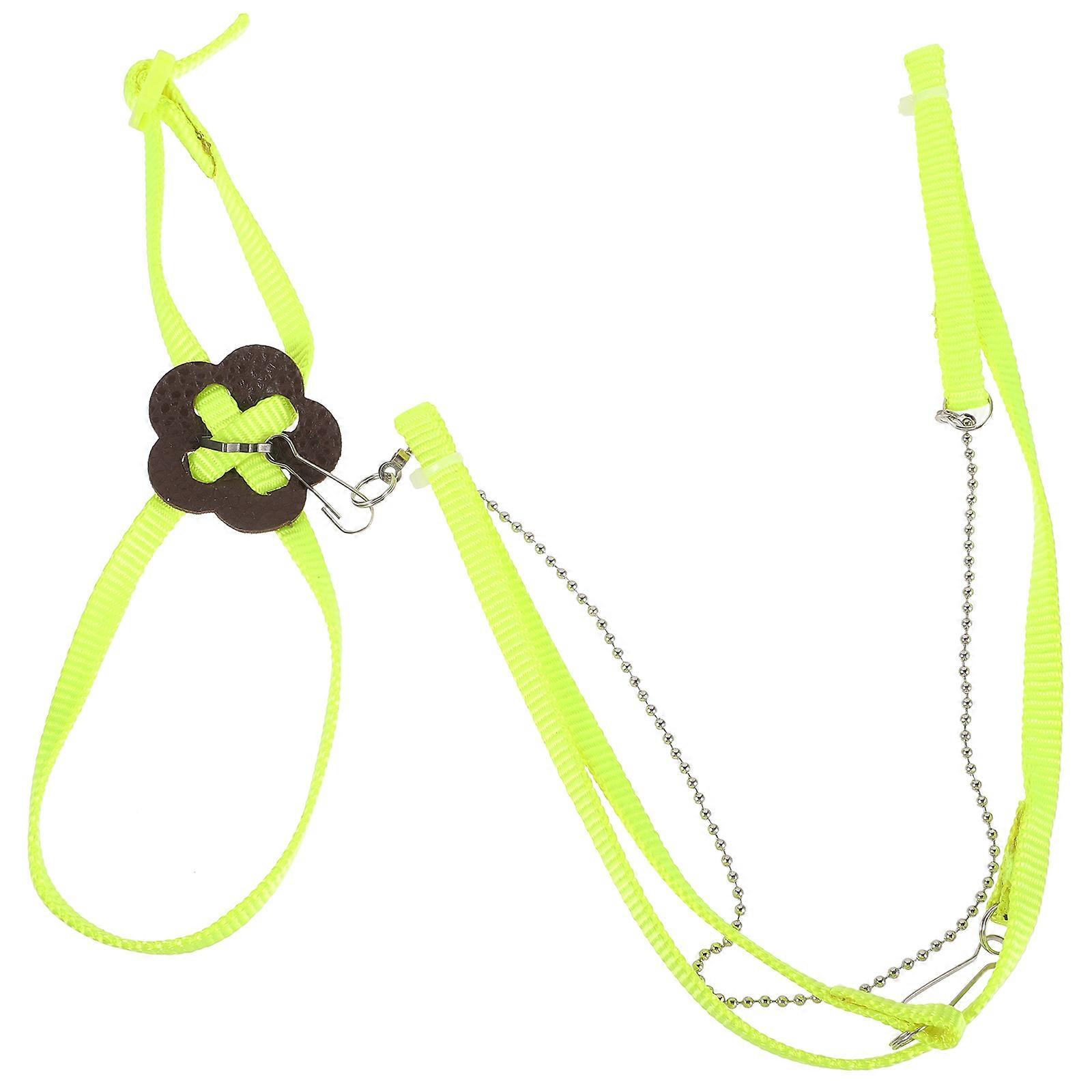 Turtle Leash Training Leash Easy-Handling for Pet Reptiles