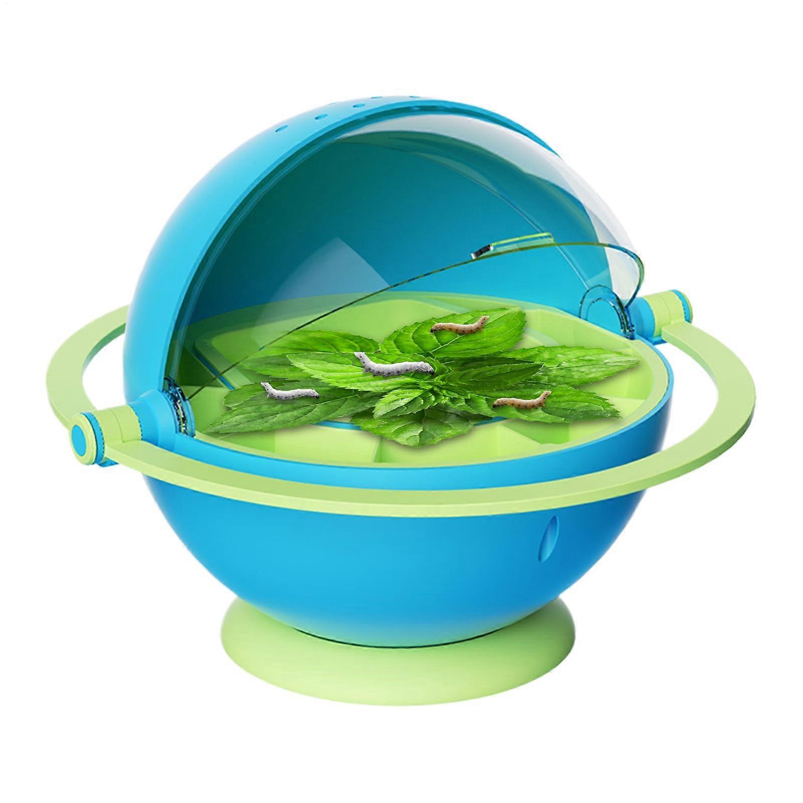 Silkworm Breeding Box, Clear Observation Container for Caterpillar Hatching | Educational Insect Habitat for Home Learning Blue