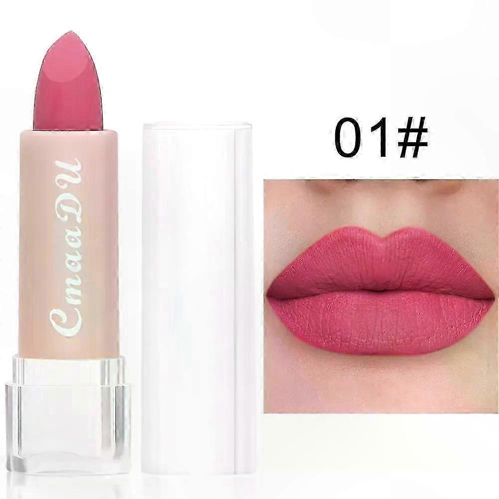 Matte Lipstick Set, 15 Shades, Long-Lasting & Waterproof, Smudge-Free Pigmented Lip Tint for Makeup Enthusiasts