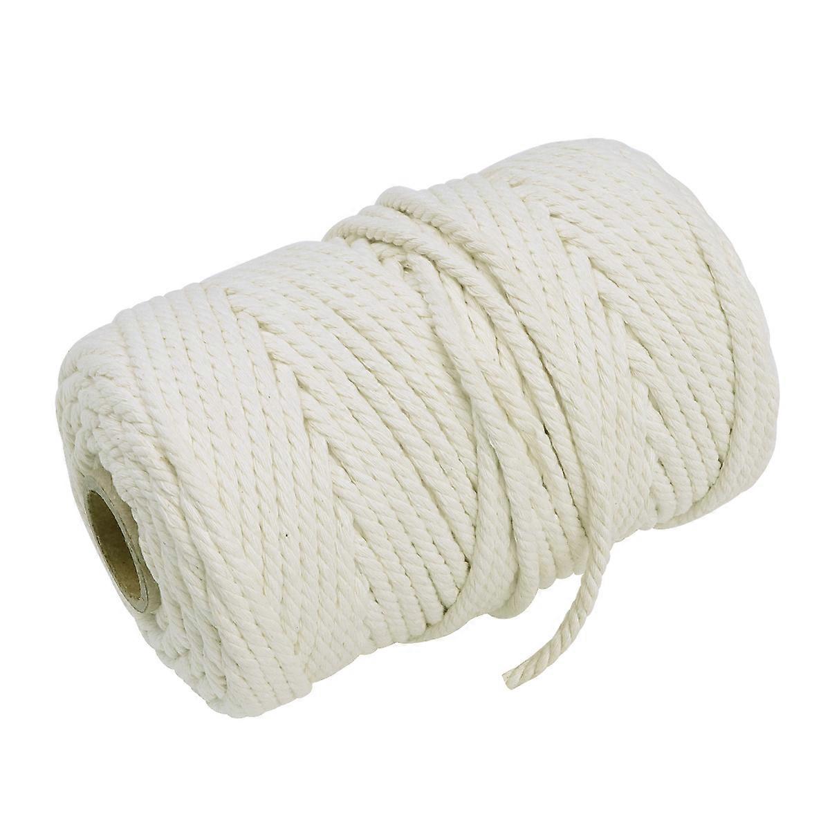 Twisted Rope Cotton Rope for DIY Craft Making and Wall Hanging 100m