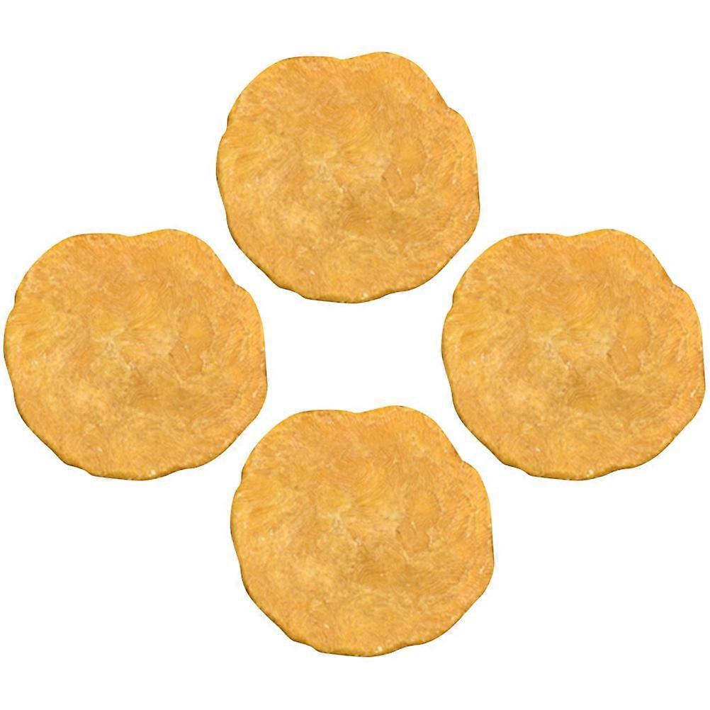 Currency Worm Creative Egypt Nummulites Sample for 4Pcs