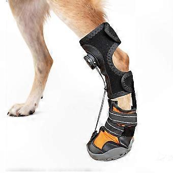 Dog Foot Brace with Comfortable Breathable Design for Year-Round Use