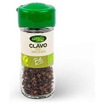 Cloves Grain Bio 25 g