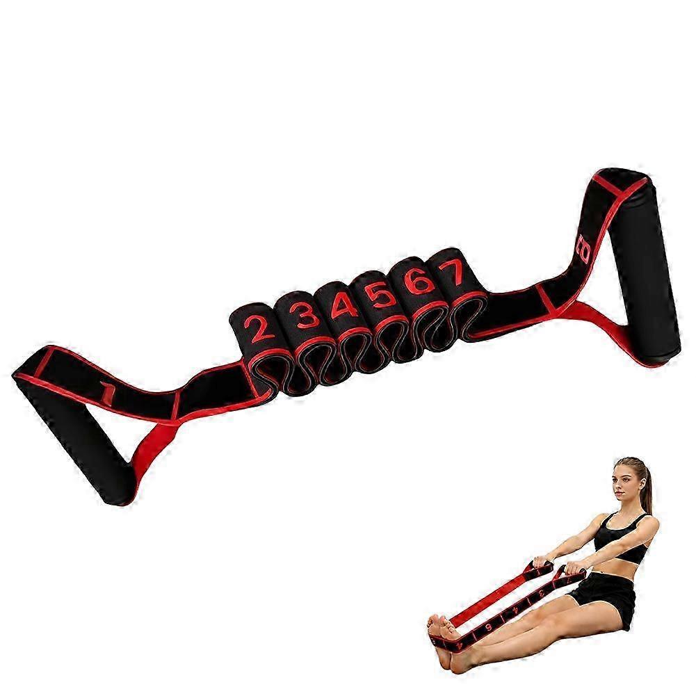 8-Section Marked Stretch Band