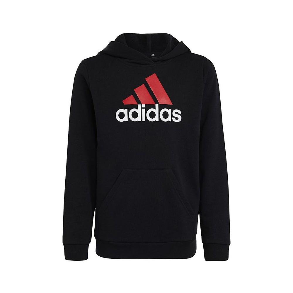 Adidas Big Logo 2 Hoody JR HR6370 training all year boy