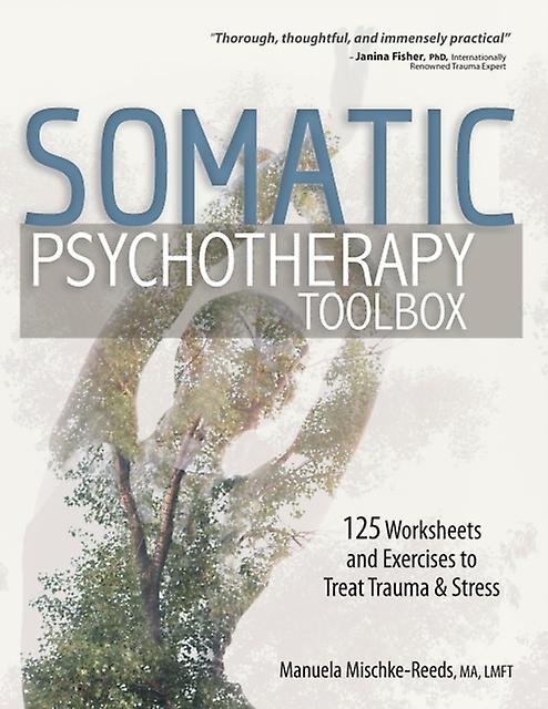 Somatic Psychotherapy Toolbox by Manuela MischkeReeds Paperback