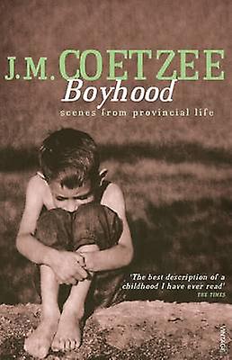 Boyhood by J.M. Coetzee Paperback Book