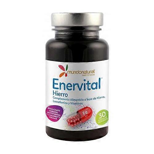 Enervital Iron 30 capsules