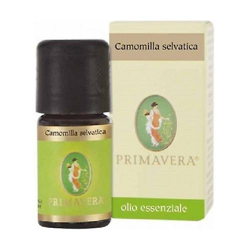 Wild Chamomile Essential Oil 5 ml of essential oil