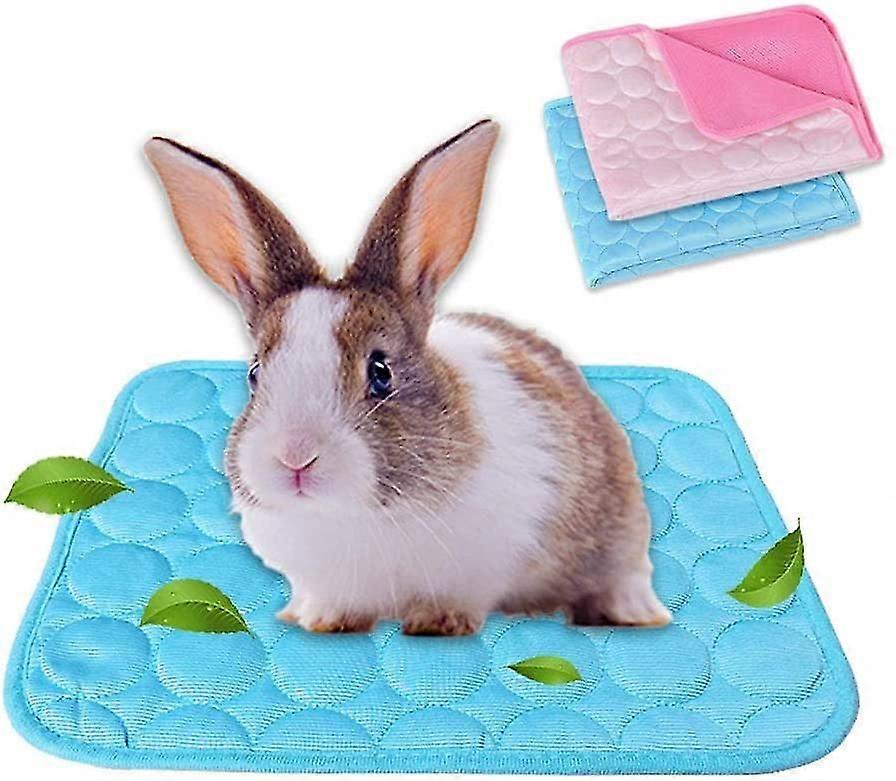 حصيرة تبريد خنزير غينيا 2 عبوة ، سرير أرنب لفصل الصيف مع مادة حرير الثلج - وسادة تبريد الأليفة للحيوانات الصغيرة