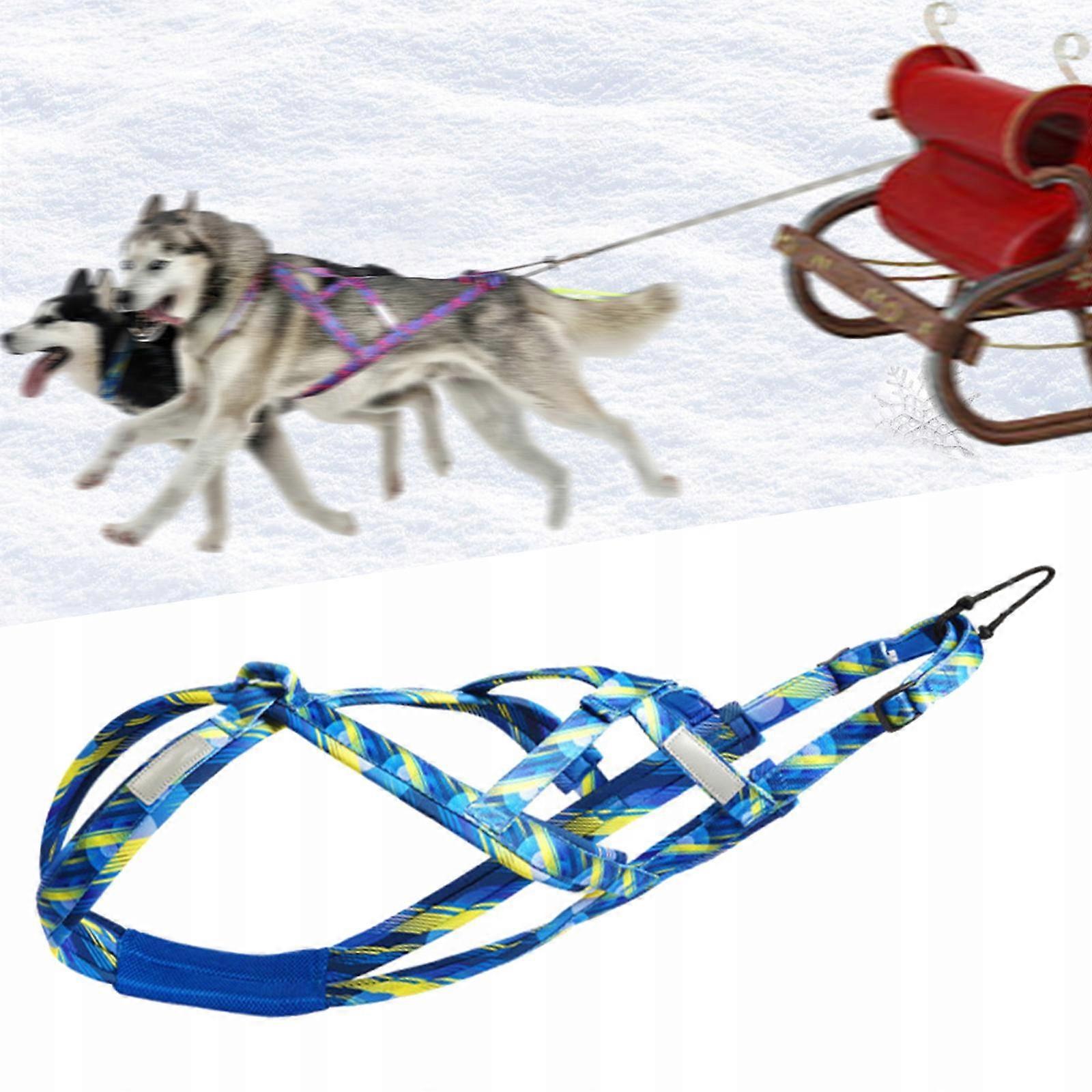Sled Harness For Medium To Large Dogs Professional Mushing Xxl