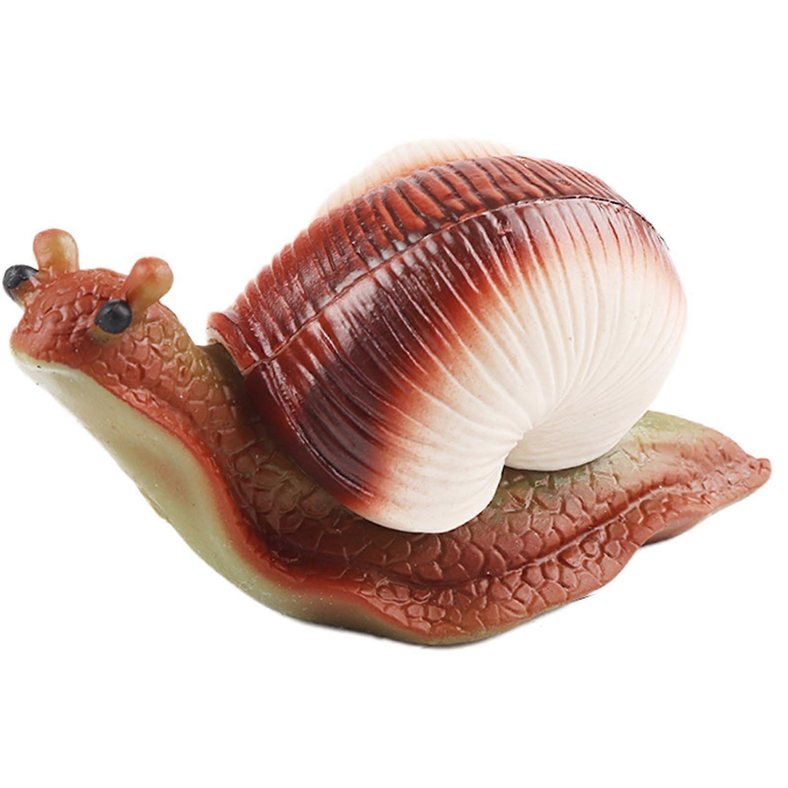 Snail Push Toy – Realistic TPR Soft Rubber Animal Figure with Hard Shell – Stress Relief Sensory Play for Kids, STEM Learning Model