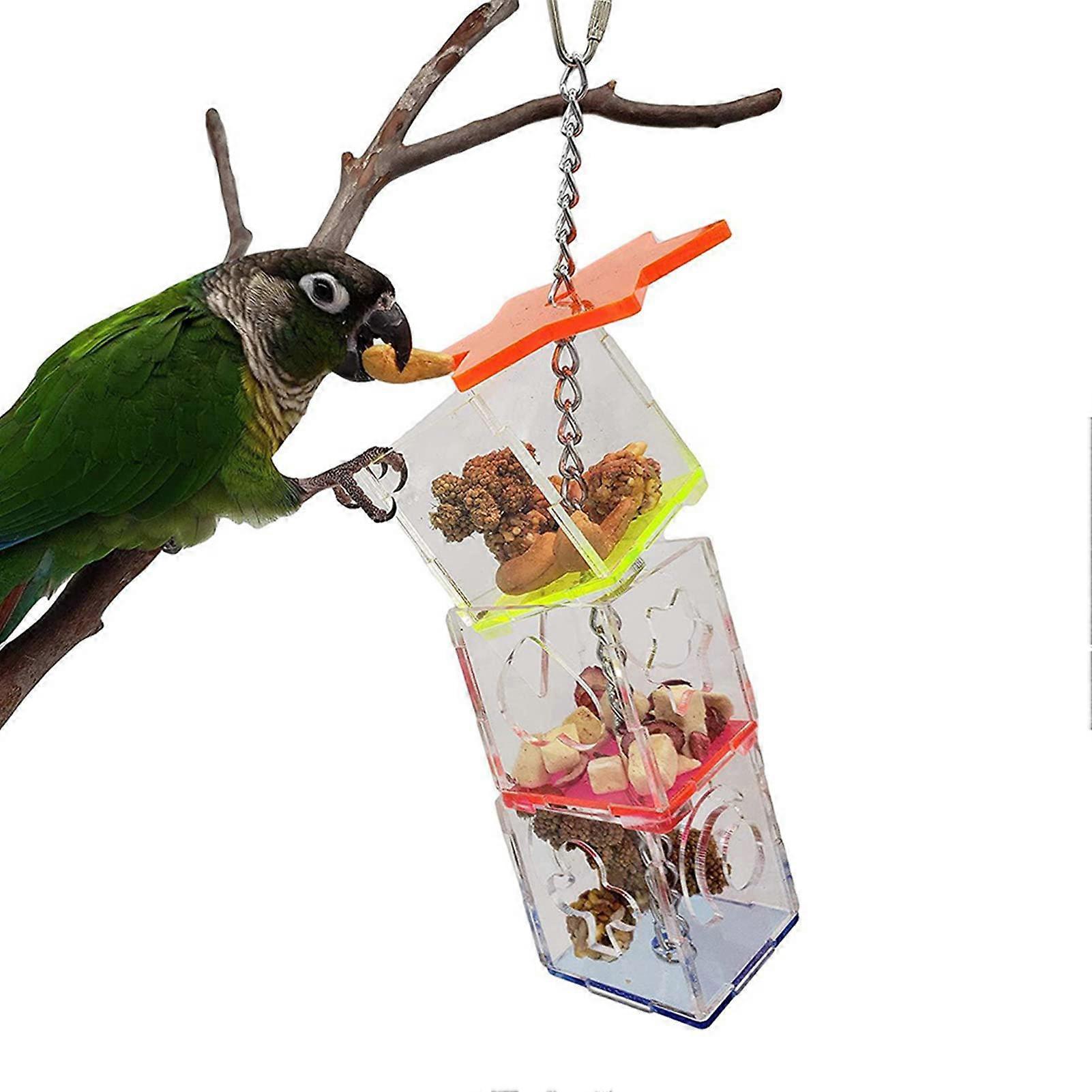 Bird Feeding Toy for Parrots, Acrylic Feeder With Screw Kit, Easy To Assemble, Parrot Compatible