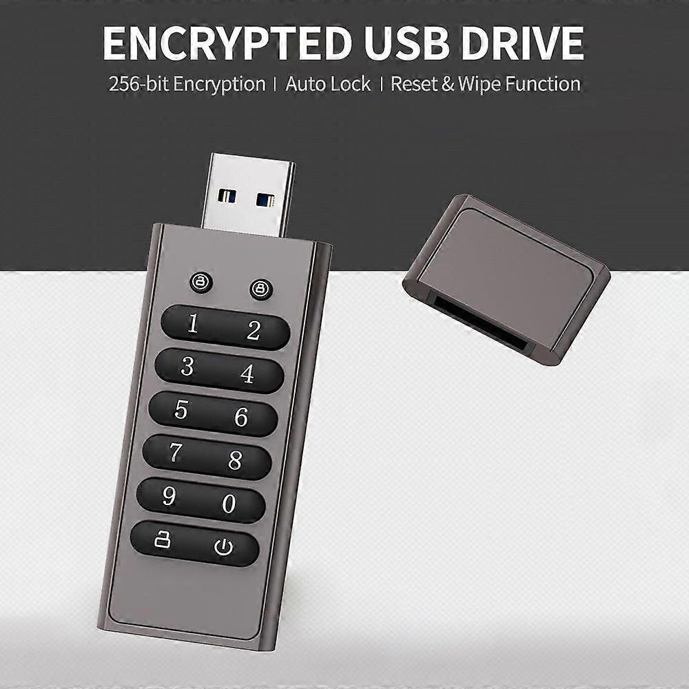 32GB 256-bit Encrypted USB Drive Password Secure Flash Drive USB3.0 U Disk Support Reset/Wipe/Auto Lock Function, Grey