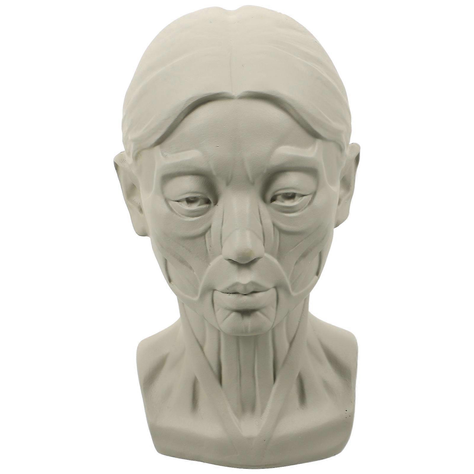 Sketch Learning Model For Students Office Display Resin Material Light Grey 1Pack