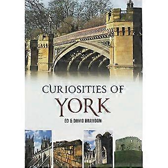 Curiosities of York