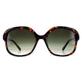 Ted Baker zonnebril TB1685 267 55