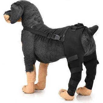 Waterproof Elastic Dog Hock Support