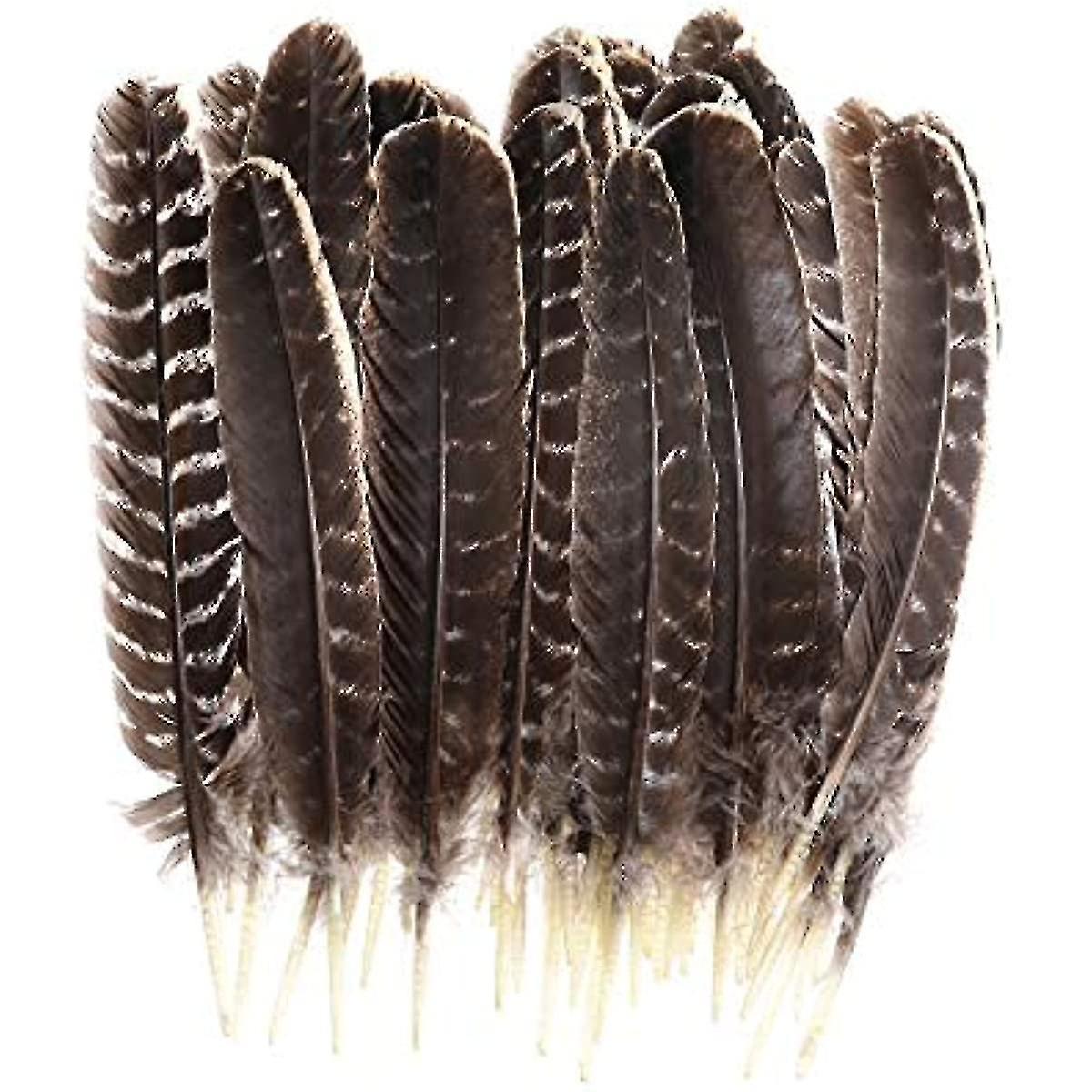 Plumes