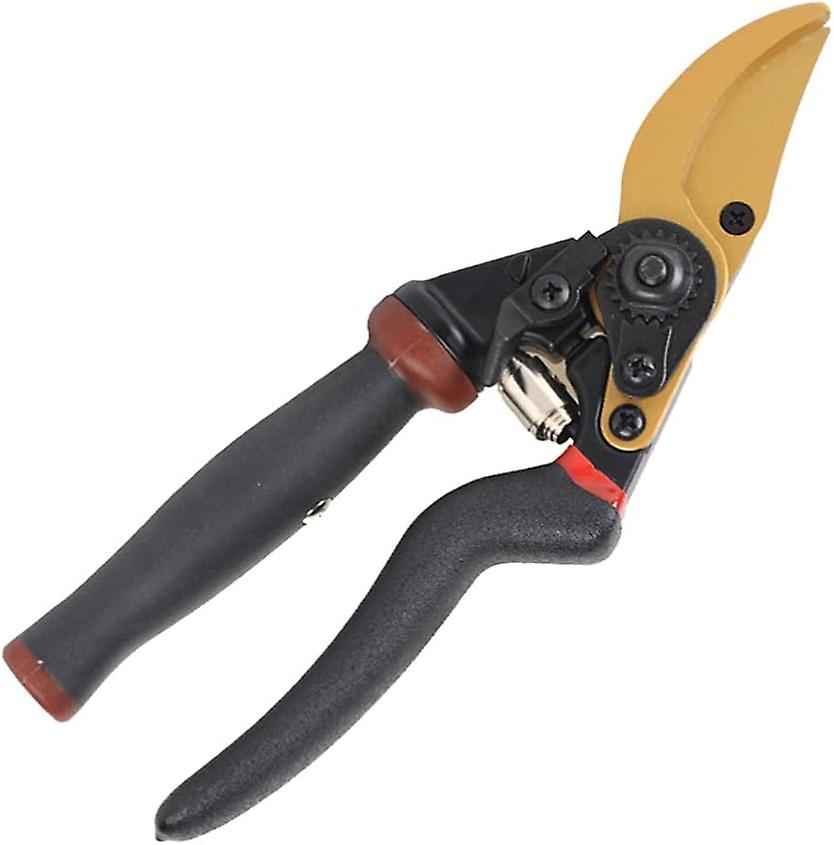 Stainless Steel Pruning Shears Fruit Tree Cutting Shear Cutter Pruning Shears Scissors Tree Hand Pruning Shears for Garden Yard