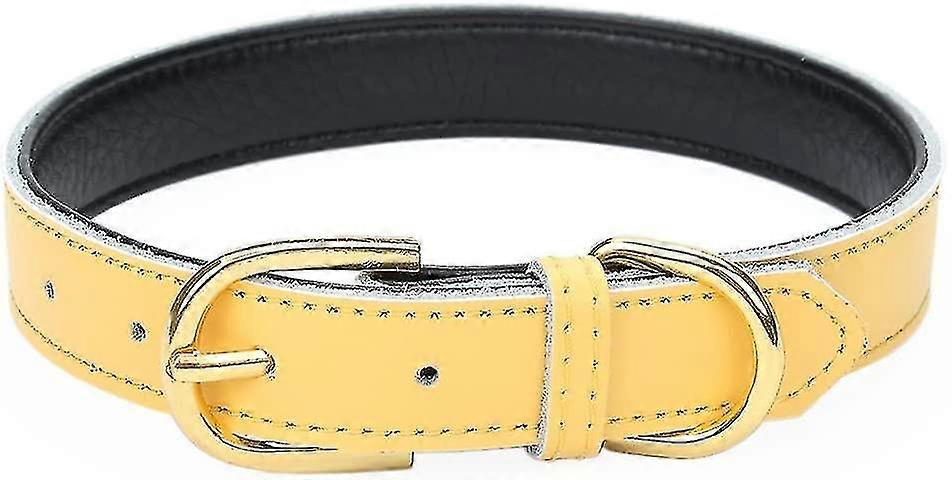 Aolove Basic Classic Padded Leather Pet Collars For Cats Puppy Small Medium Dogs