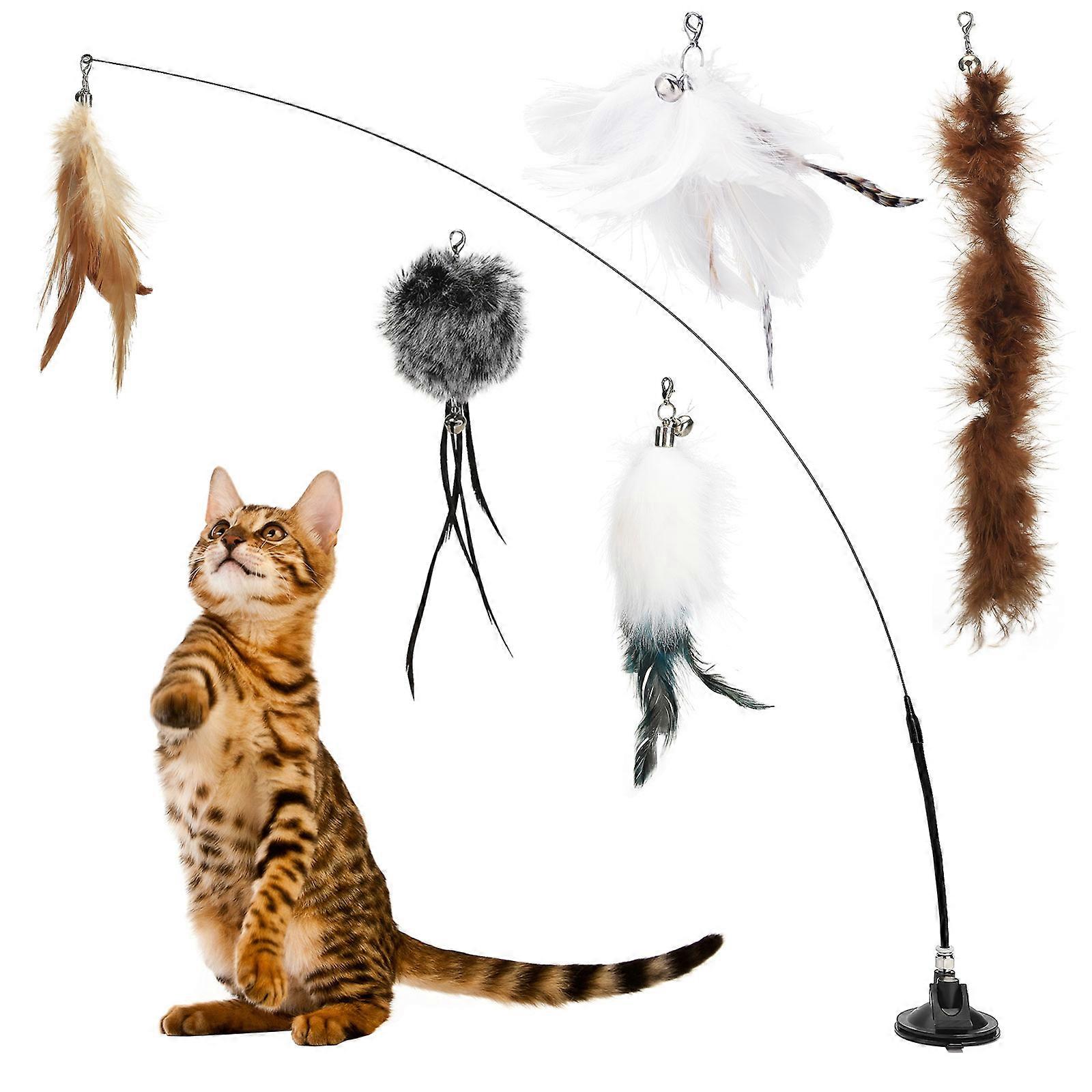 Cat Toy Chase Exercise Suction Cup Durable Creative 6Pcs Interact Feather Bird Cat Toy