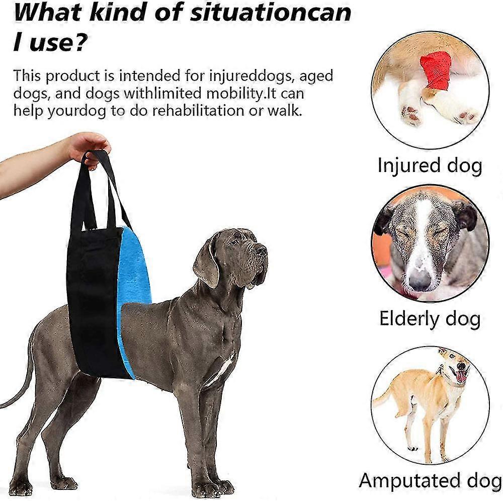 Pet Walking Aid Belt Dog