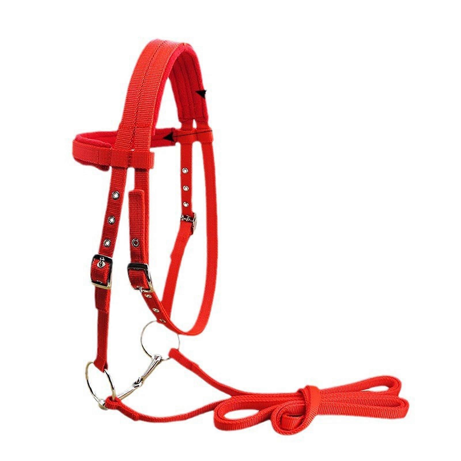 Horse Bridle Reins Halter - 20mm PP Webbing Thickened Riding Equipment for Outdoor Training, Red, Size M