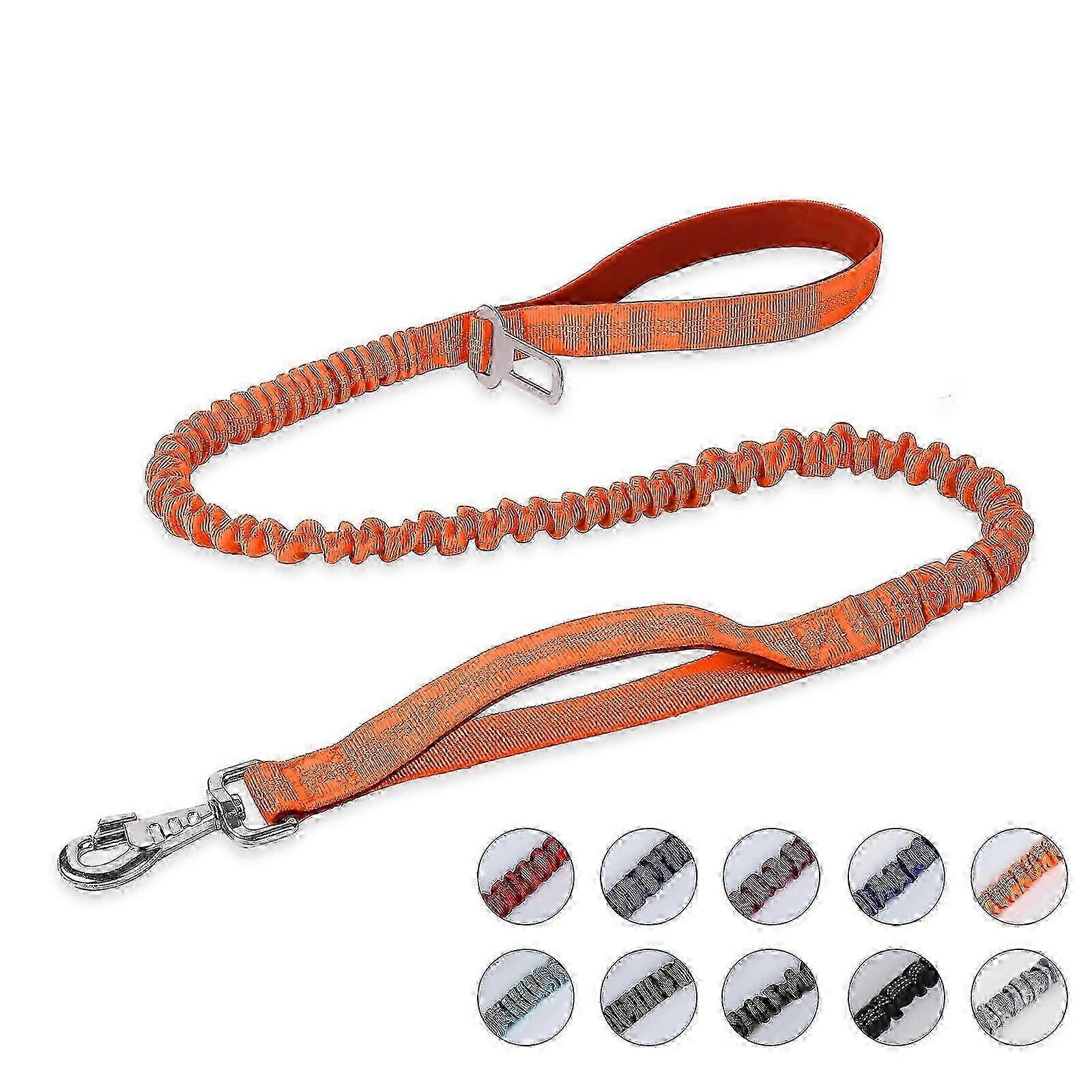 6ft Bungee Training Leash Dual Padded