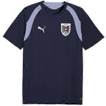 Puma Mens World Cup 2026 Austria FC Training T-Shirt