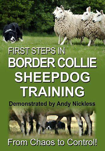 First Steps In Border Collie Sheepdog Tr DVD - Region 2