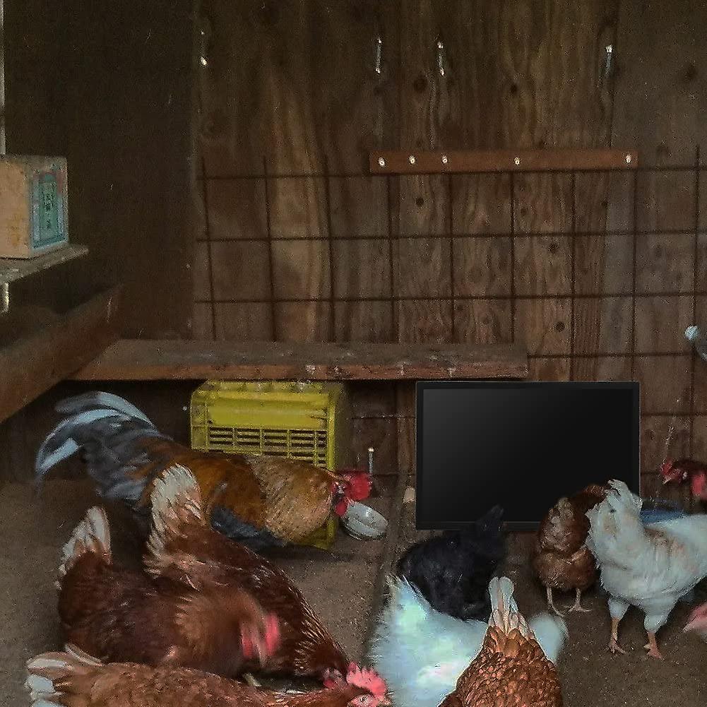 Chicken Coop Heater, Radiant Heat Chicken Heater For Coop 120 Watts Energy  Efficient Safer Than Brooder Lamps Heater For Chicken Coop 16x11.5 16x11.  | Fruugo UK