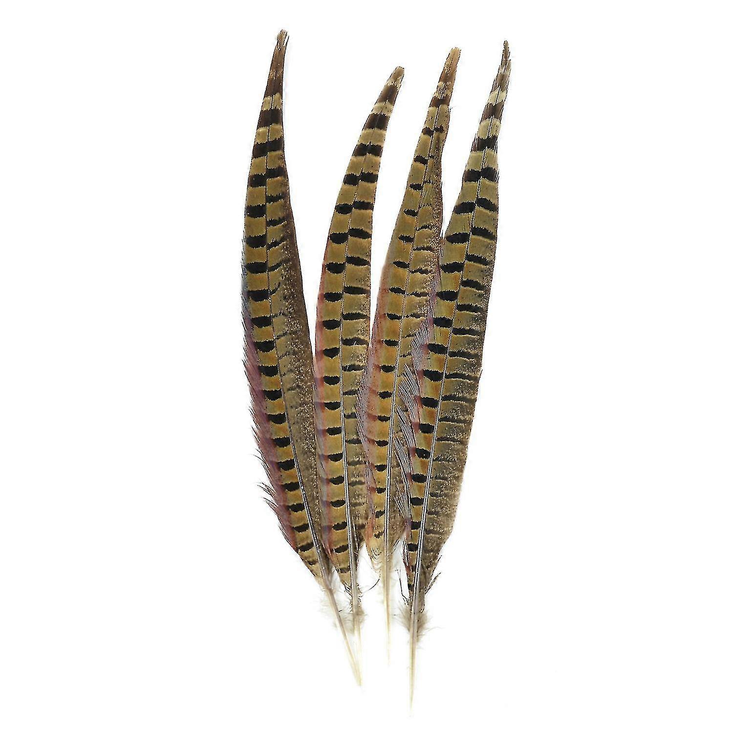 Toque de plumas de faisán de cuello anular 4 / pcs, Natural