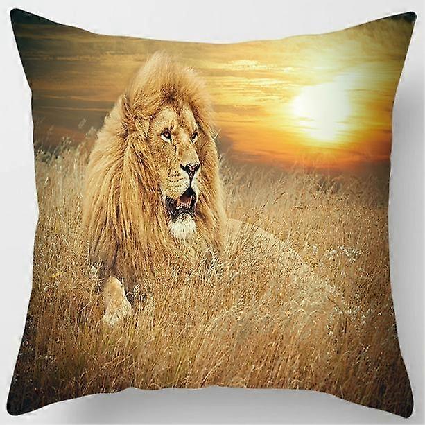 Pillowcase Square Pattern Style-1064 Bedroom Sofa Car Cushion Cover Pillowcase