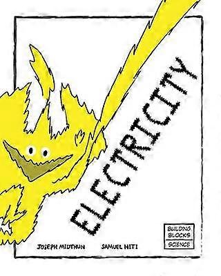 Electricity 1 Building Blocks of Physical ScienceSoft Cover