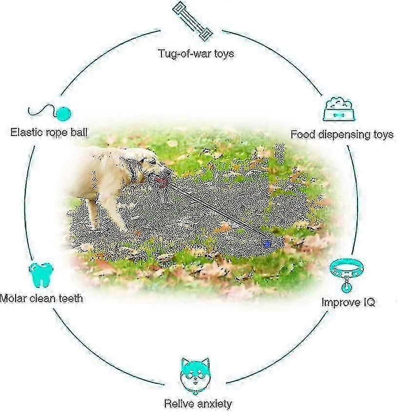 Dog Toys Outdoor Dog Tug Toy For Aggressive Chewers Floating On Water And Squeaky Jolly Egg For Small To Large Dogs