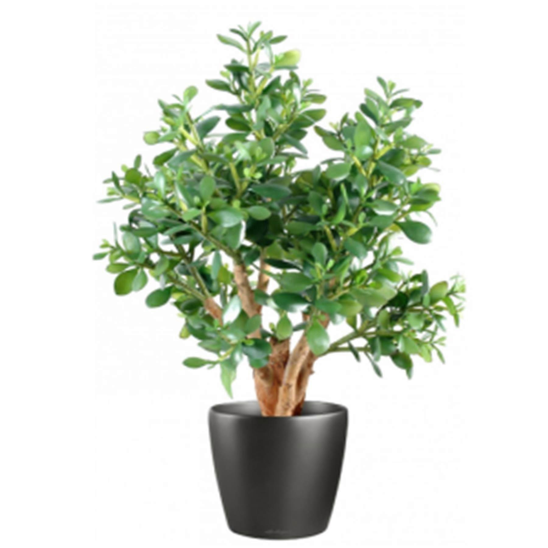 70cm Artificial Deluxe Jade Plant