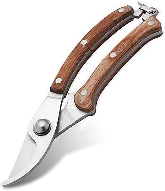 Gardening Tools Stainless Steel Garden Shears for Bonsai Pruning, Ergonomic Handle, Heavy-Duty Design for Gardeners