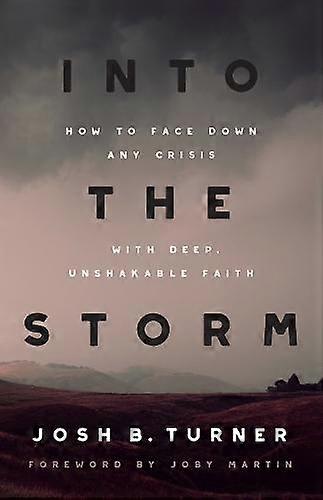 Into The Storm by Josh B. Turner Paperback Book