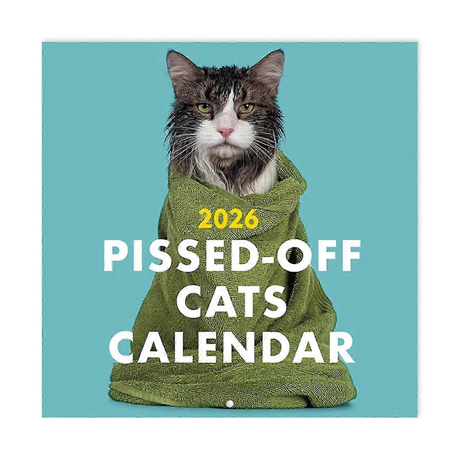 Unique Novelty Calendar For Cat Owners 2026 Month to View Funny Calendar Great Present Idea