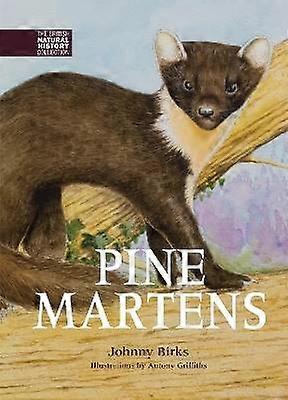 Martres des pins