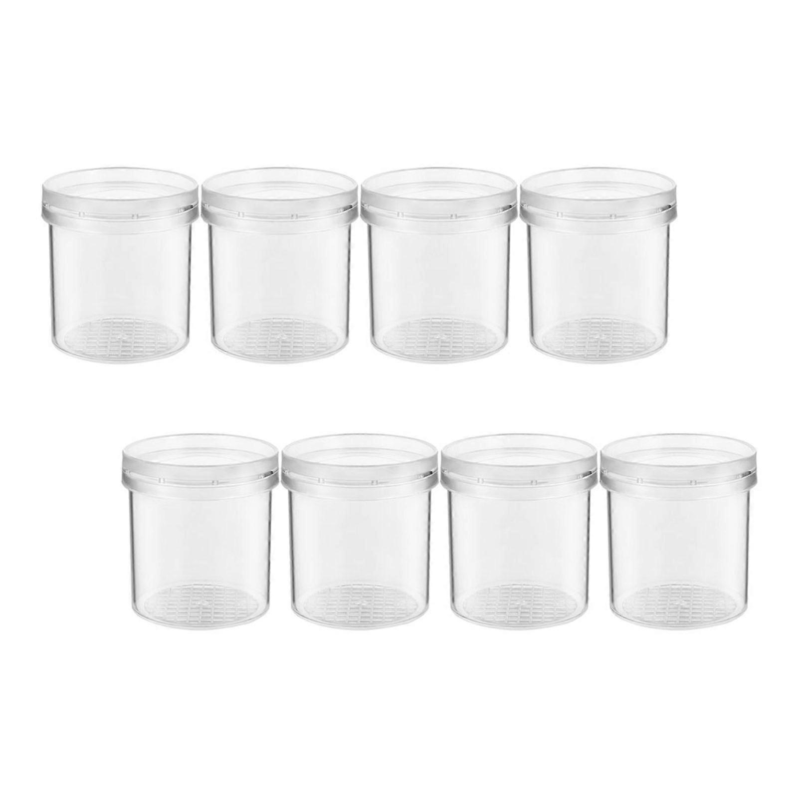 8pcs Bug Magnifier Viewer Box Insect Box Bug Container Box Science Nature Exploration Tools