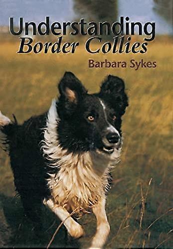 Compréhension Border Collie