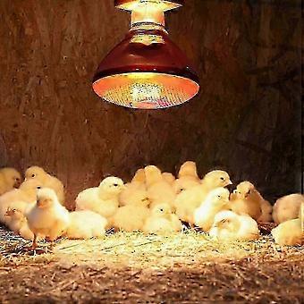E27 Infrared Heat Lamp for Chickens 220V 100-275 Watts Red Heat Lamp Bulb Heat Light Bulb for Brooder Coop Chicks Pet Reptile 200W