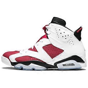 Jordan 6 Retro Carmine 2014 384664-160